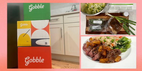Gobble Meal Kit Review 2023: Easy Meals in Under 15 Minutes