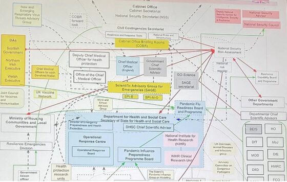 As the probe finally kicked off yesterday, almost three-and-a-half years after the virus hit the UK, the Inquiry's chief lawyer, displayed the mind-boggling graph to illustrate the UK's structures in place for pre-pandemic preparedness. 'This is a document', Hugo Keith KC told the chair, 'which the Inquiry team has prepared, which sets out the basic structures concerning EPPR [Emergency Preparedness, Resilience and Response]