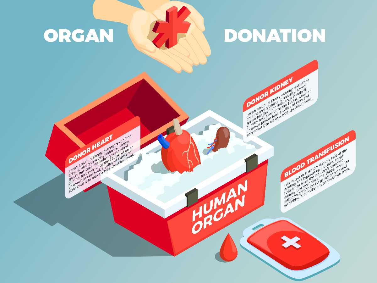 Organ Transplantation: A Medical Science Miracle Saving Thousands Of Lives In India