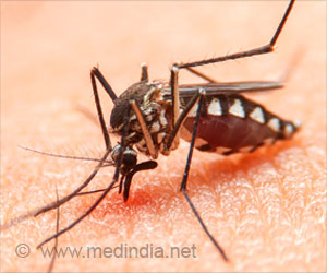 5000 Mosquito Repellents Donated for 'Fight The Bite' Project in Amritsar