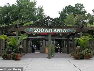 The 33 dead rats tested between 2019 and 2022 were collected from Zoo Atlanta in Georgia