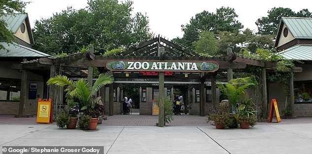 The 33 dead rats tested between 2019 and 2022 were collected from Zoo Atlanta in Georgia