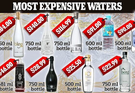 The most expensive waters come from all over the globe, including the remote waters of Patagonia and untouched waters from Arctic icebergs.