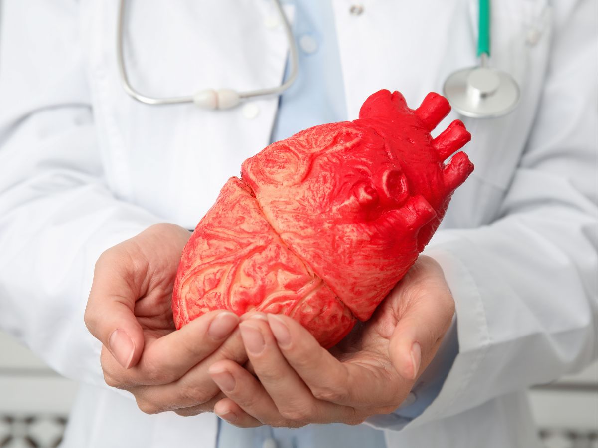 Heart Attack Protection Tips: 7 Essential Tests to Check Your Heart Health