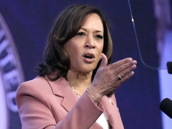 Kamala Harris Says She’s Ready to Take Over as President if Biden Becomes Ill - Here’s What Could Happen