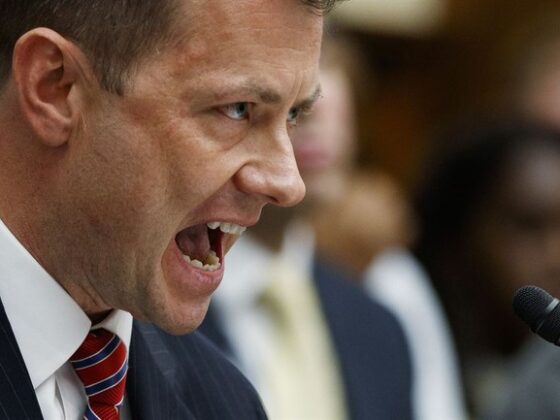 What Peter Strzok and Nicolle Wallace Say About FBI Unit to Protect Agents From Americans Is Astonishing