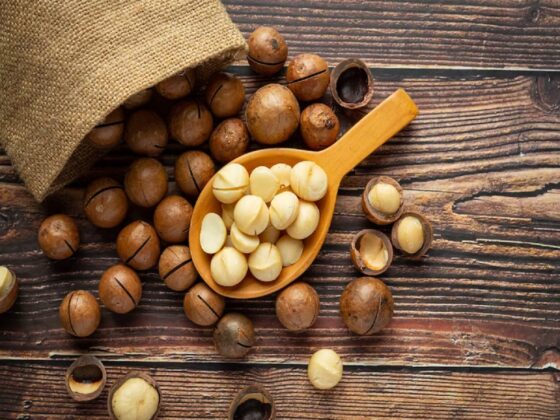 Why You Should Eat Macadamia Nuts Daily?