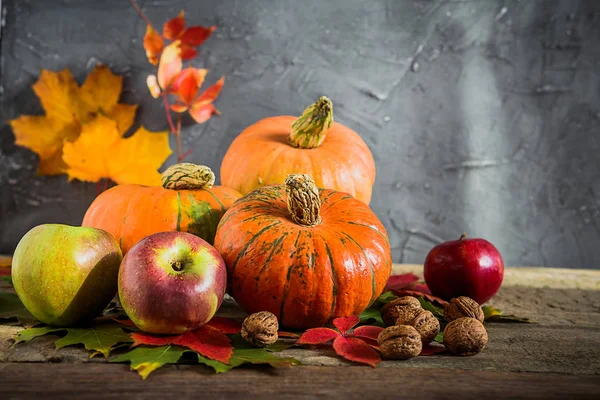Boosting Your Nutrition with Fall Produce: Insights from a Registered Dietitian |  Stock Photo