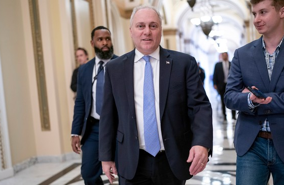 Steve Scalise Throws Hat into the Ring in House Speaker Race