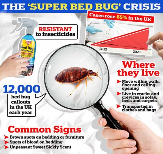 A lull in travel activity during the pandemic inevitably slowed the spread of the insects, which can be picked up in hotels, public transport and restaurants. But a return to pre-pandemic norms, with their primary means of transit often being in suitcases, has encouraged their resurgence helping them spread faster, it is claimed
