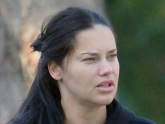Adriana Lima looks unrecognizable with makeup-free face and sweats on stroll through LA with boyfriend and dog