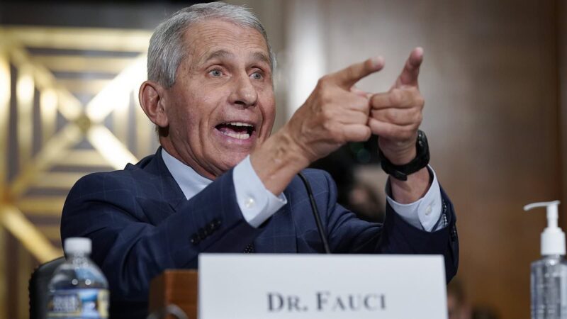 Dr Anthony Fauci FINALLY agrees to testify in front of House Republicans about Covid origins and his links to Wuhan bat lab