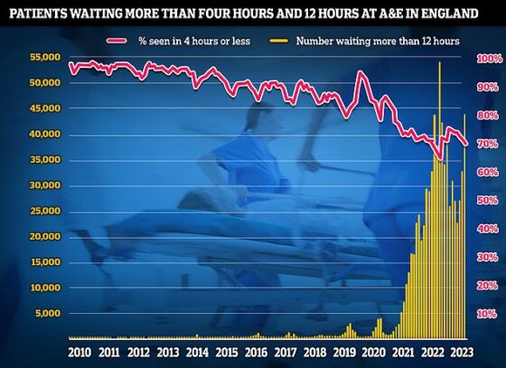Under three quarters of emergency department attendees (70.2 per cent) were seen within four hours in August, down from 71.6 per cent in September, NHS data showed today. It is the lowest figure logged since December 2022. NHS standards set out 95 per cent should be admitted, transferred or discharged within the four-hour window. This was last met in July 2015