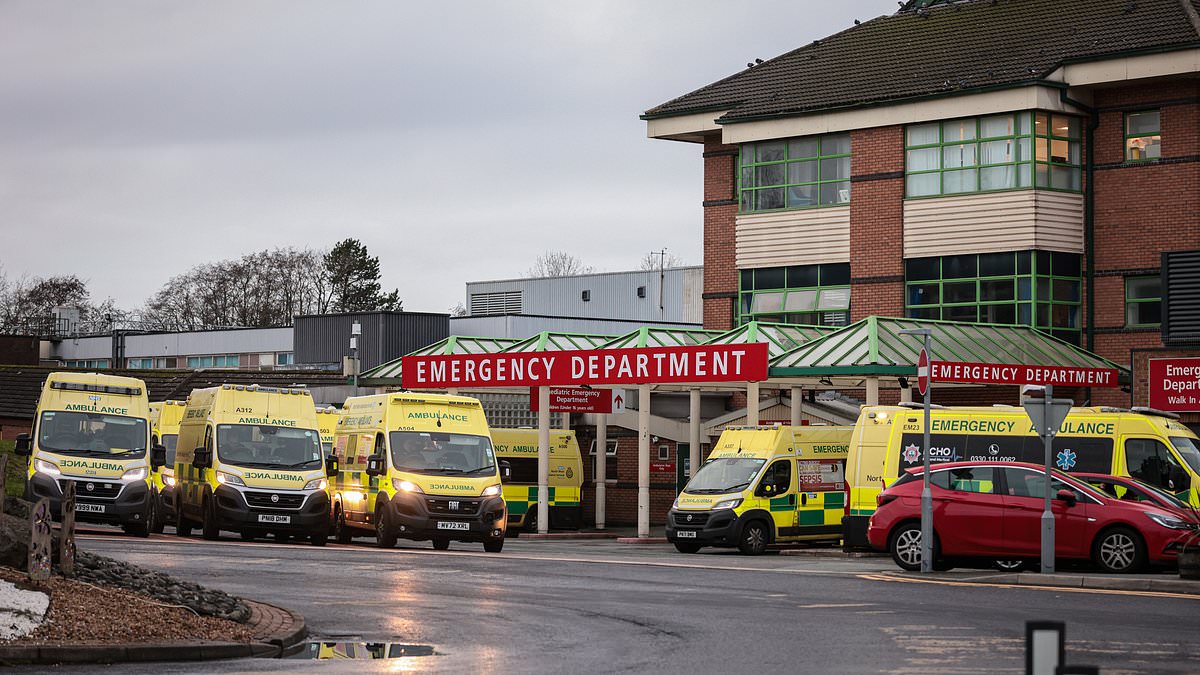 'Total chaos' at major hospital's A&E unit on Boxing Day as up to FIFTEEN ambulances are forced to queue outside