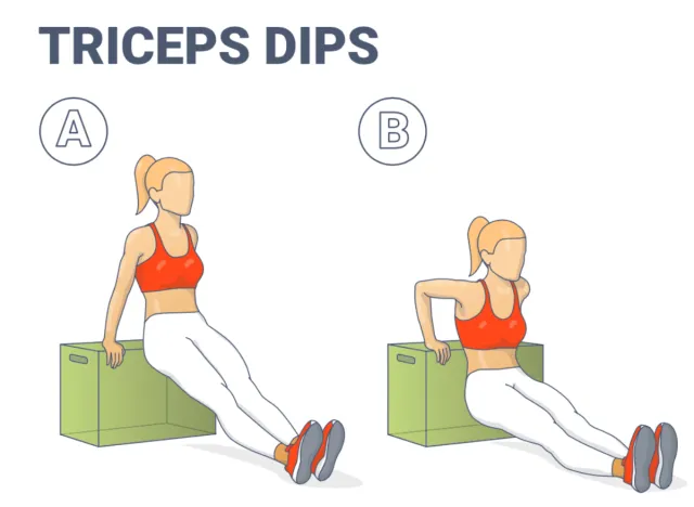 tricep dips illustration