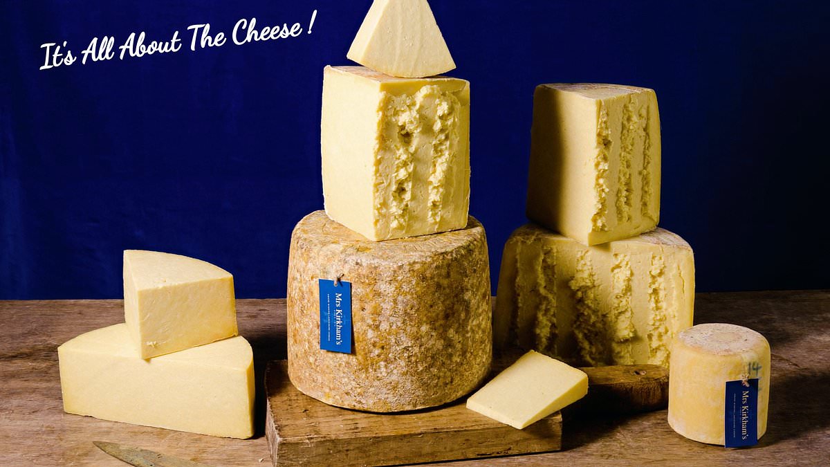 30 Brits are sickened in E. coli outbreak linked to artisan cheese: Health chiefs issue urgent recall and slap 'do not eat' notice on four types popular in Christmas hampers