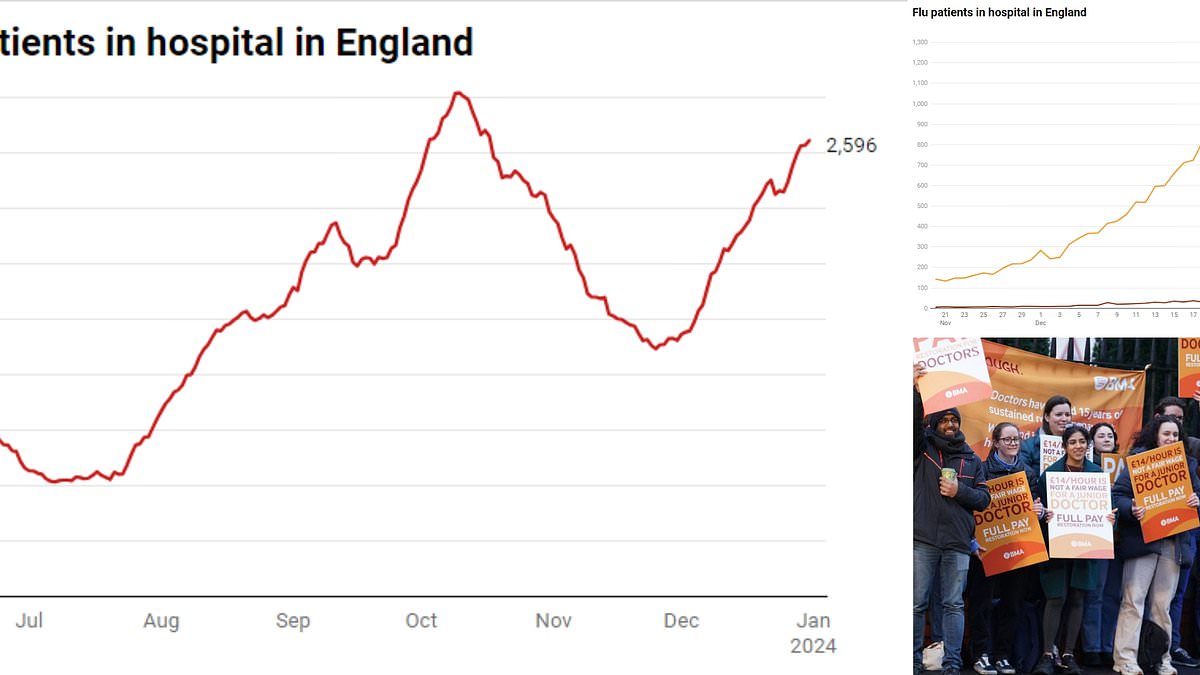 Covid and flu pile pressure on hospitals: Admissions DOUBLE in a fortnight amid devastating six-day junior doctors' strike