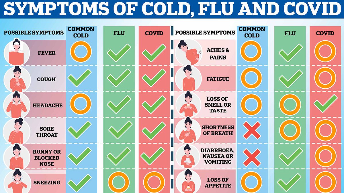 Do you have Covid, the flu or just a pesky cold? Ultimate guide on how to tell three illnesses apart as cocktail of seasonal bugs (and a new variant!) sweeps UK