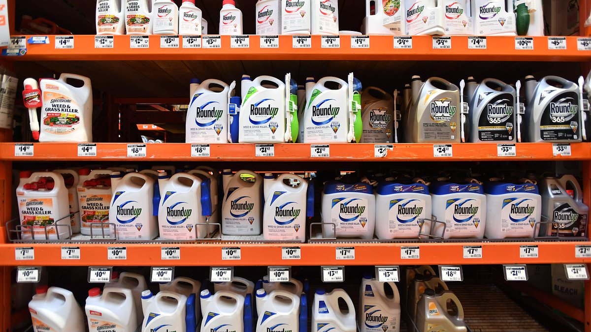 Groundskeeper, 49, from Pennsylvania is awarded record $2.25BILLION after jury finds decades of using Roundup weed killer caused his blood cancer