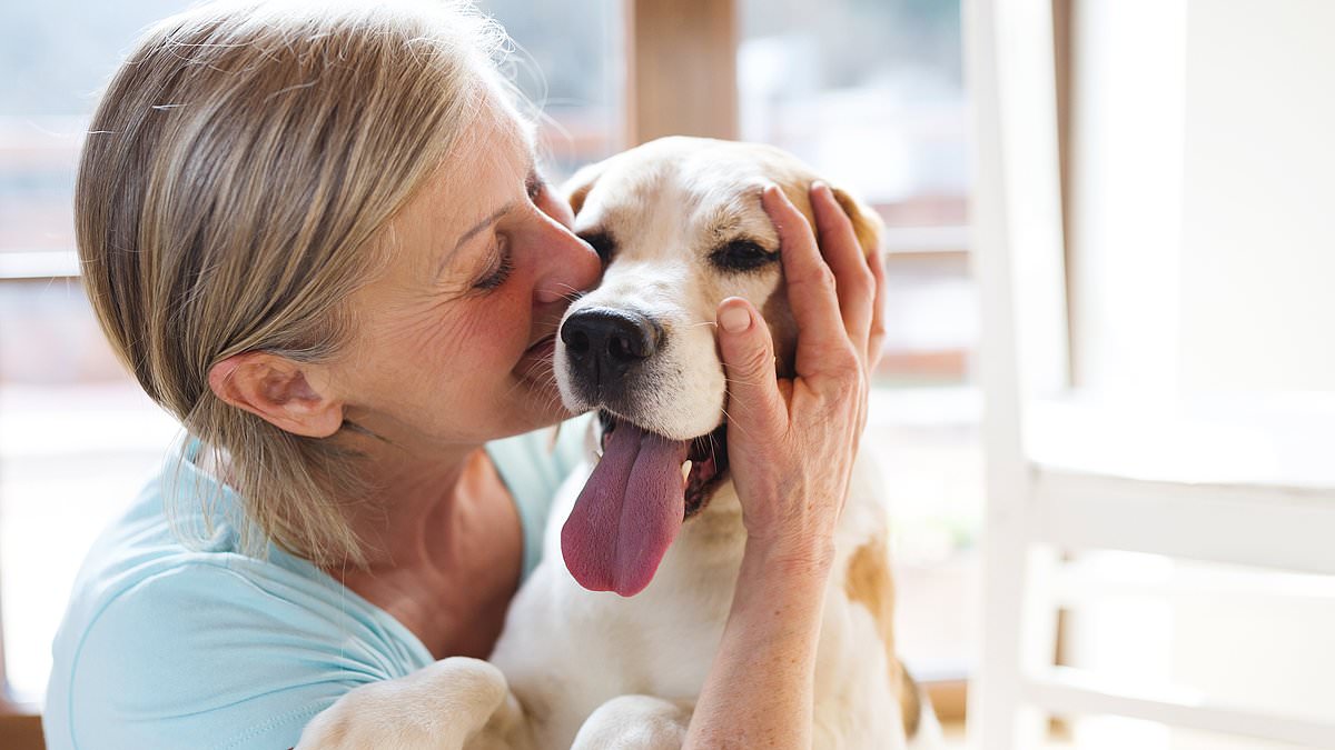 Having a dog or cat in later life could reduce the risk of dementia, a new study suggests