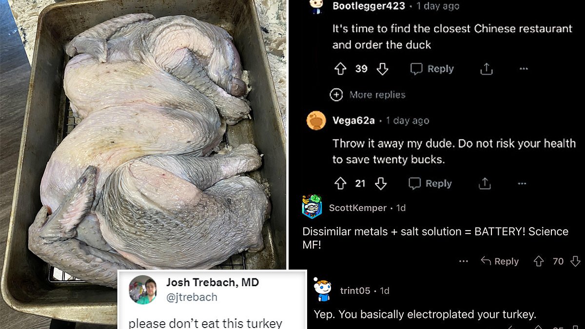 Man turned his turkey METALLIC by preparing it in a metal tray...and STILL served it to his guests
