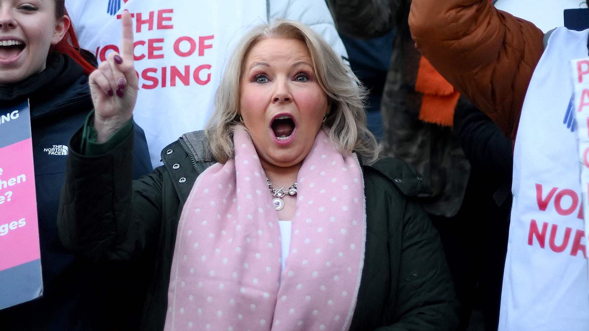 Nurses could strike AGAIN in the New Year to get larger pay rises, head of the Royal College of Nursing warns