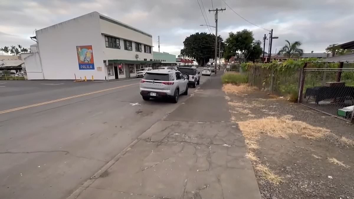 Paramedics in Hawaii save baby girl who was born on street and dragged by the umbilical cord along the sidewalk by her drug-addled, homeless mom