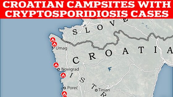 Planning a summer holiday in Croatia? Warning over must-visit hotspot after health chiefs spot a spike in travellers being sickened by a diarrhoea-causing parasite that lurks in swimming pools