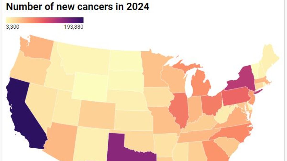Record 2MILLION Americans will get cancer this year amid epidemic in young people... use this Daily Mail map to see states where diagnoses are most common