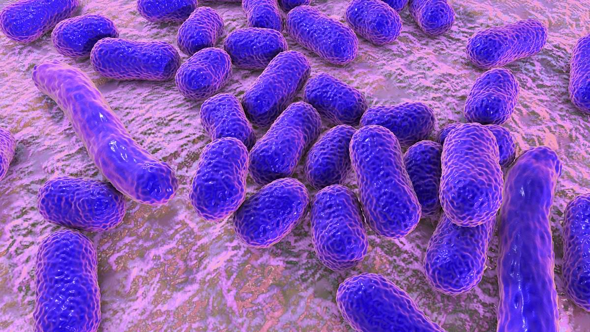 Scientists discover new class of antibiotic can kill drug-resistant superbug