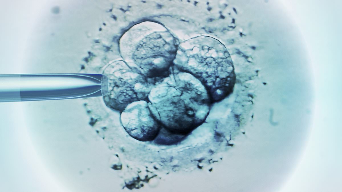 Scientists hail IVF breakthrough in non-invasive test that could slash 'big element of chance' involved in getting pregnant