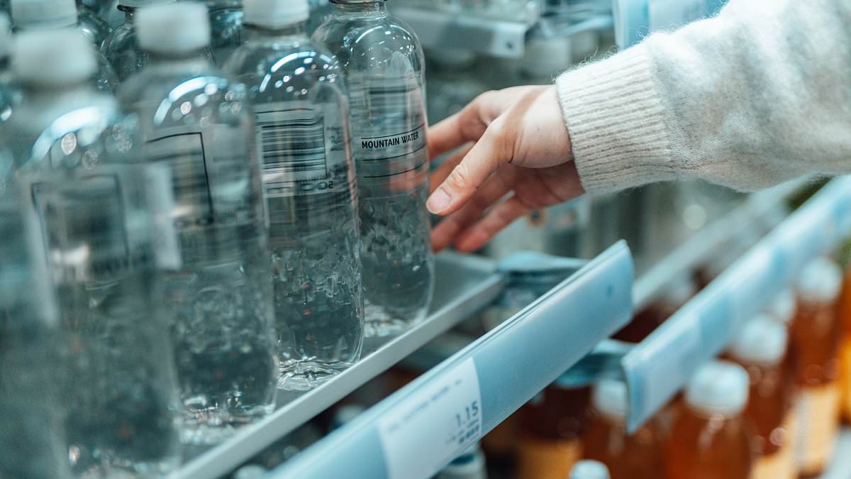 What nanoplastics are in YOUR water bottle and how exactly do they get there - after shock study reveals average one contains 240,000 pieces