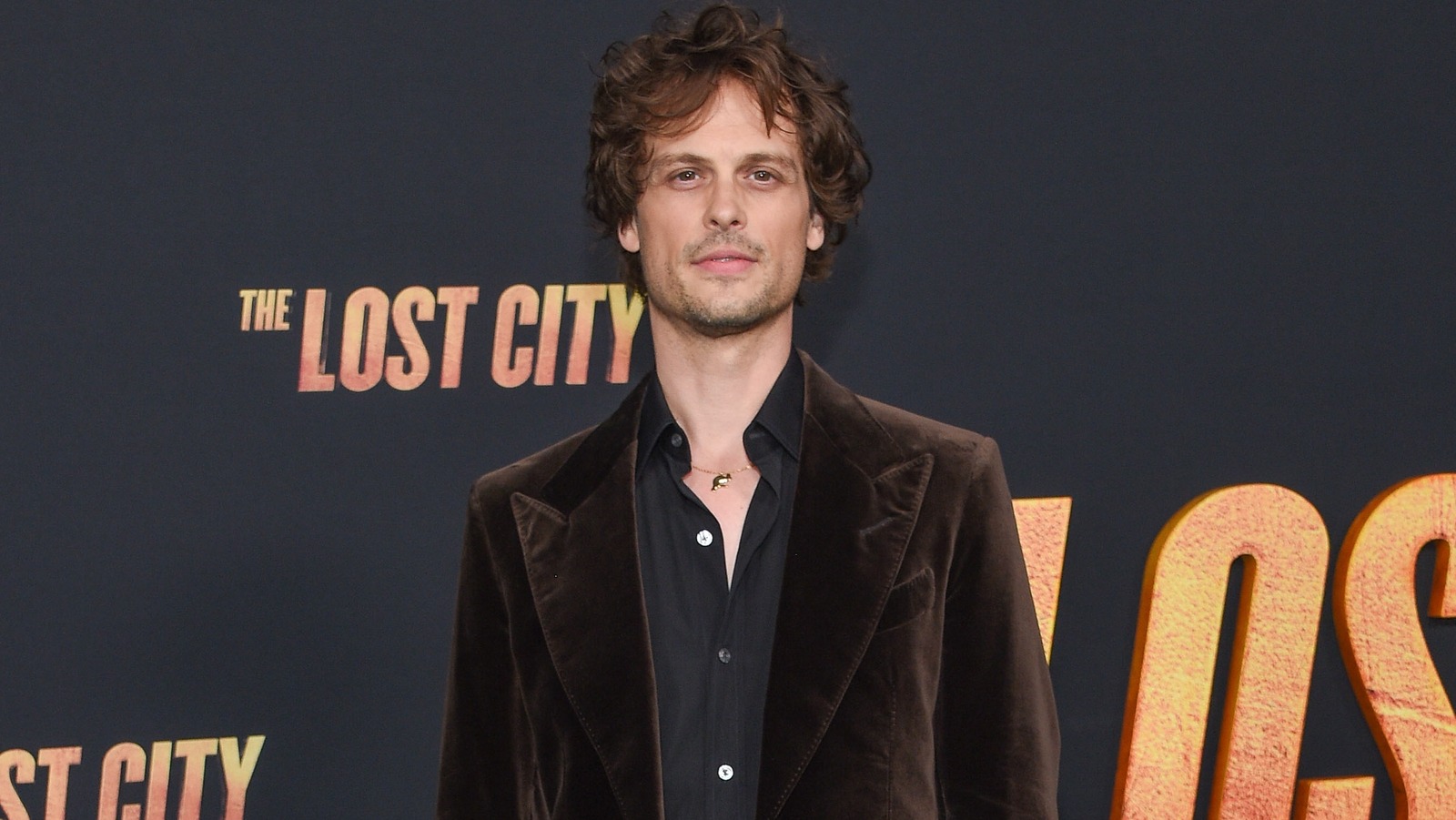 Whatever Happened To Criminal Minds Star Matthew Gray Gubler?