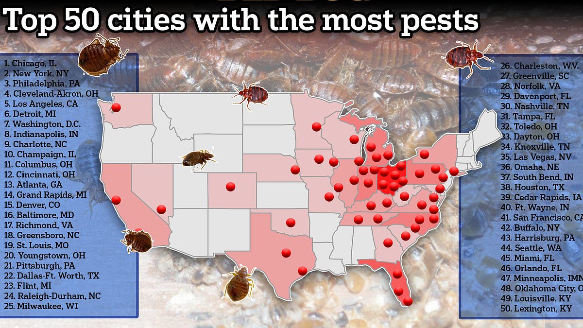 A NEW hard-to-kill species of bed bugs may explain why US and 50 other countries have seen growing outbreaks