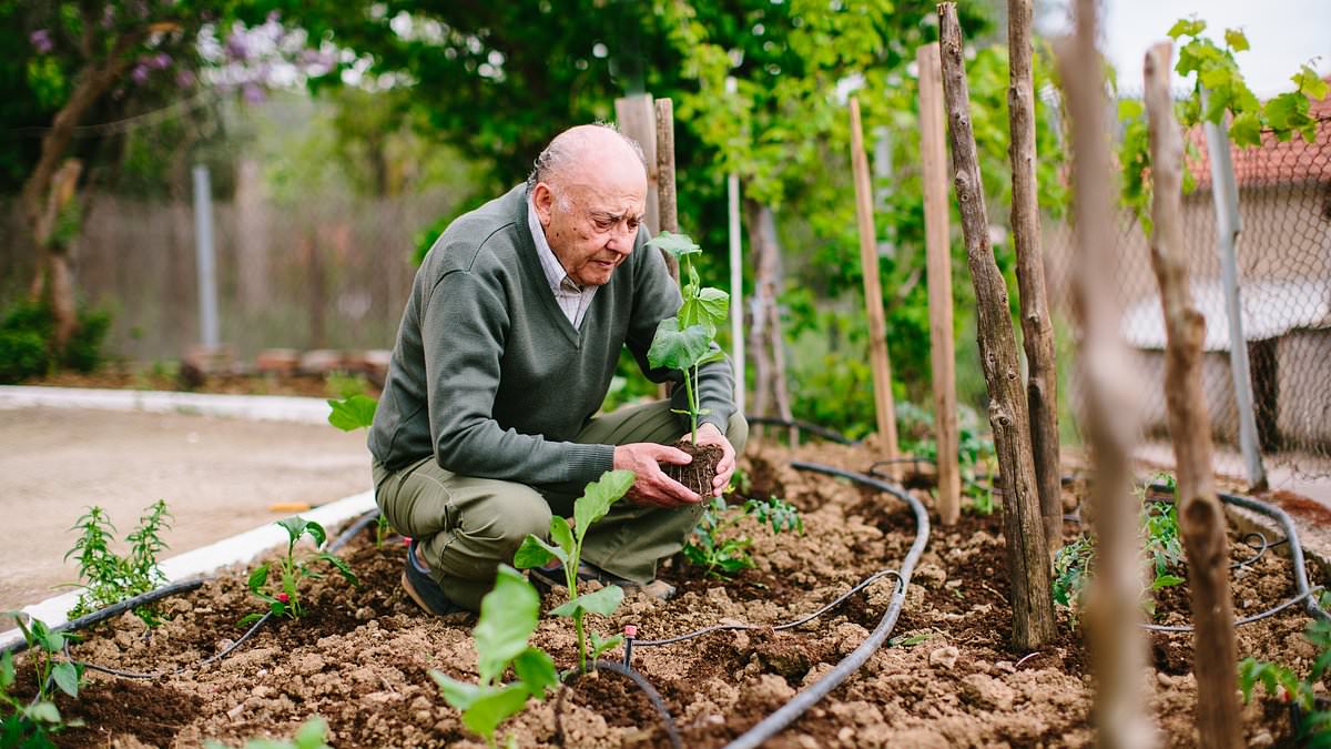 America's loneliness epidemic laid bare: Nearly 40MILLION adults now live alone and they are 64% more likely to be depressed than their peers, official report warns