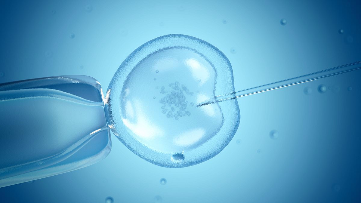 An ultrasound zap could help sluggish sperm to swim faster and boost the success of IVF procedures, study finds