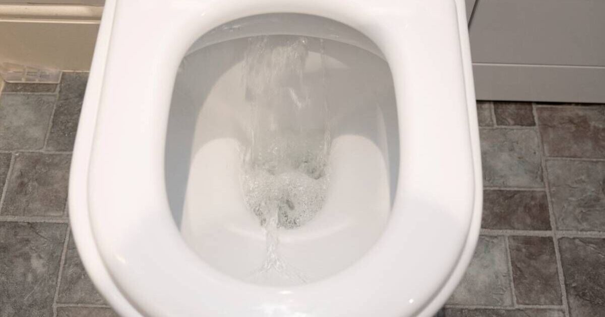 Bathroom expert reveals the horrifying reason never to leave the toilet lid up