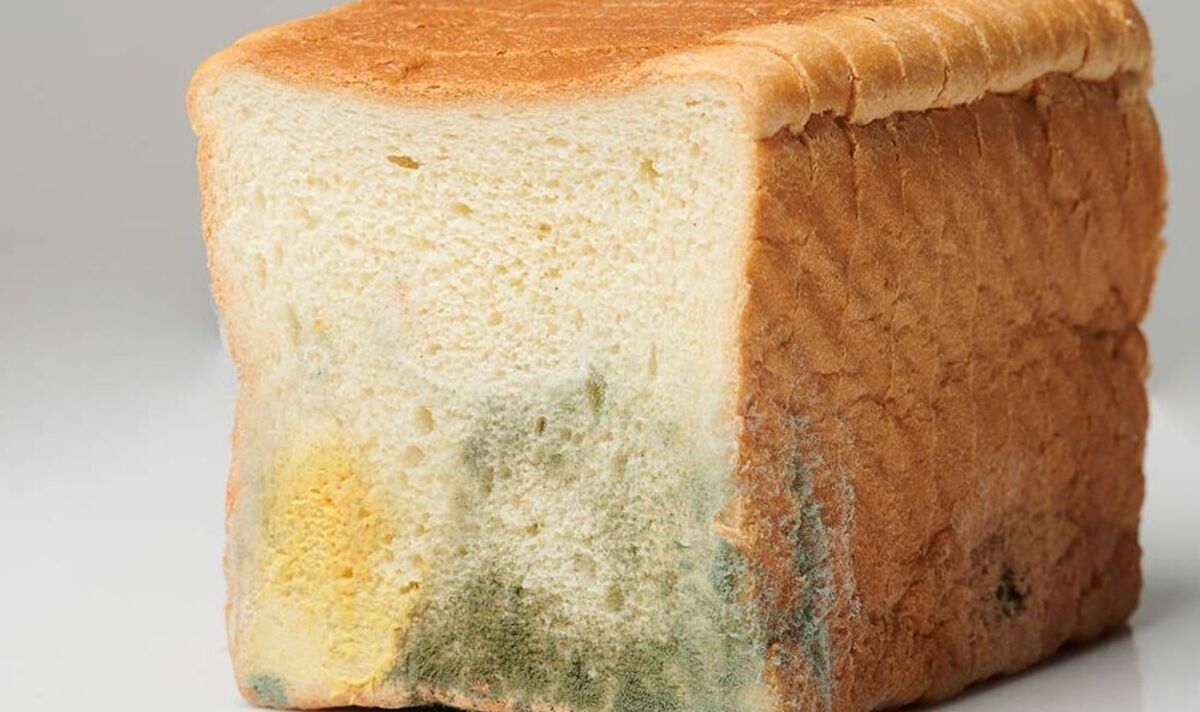 Doctor issues urgent warning to people who find a mouldy slice of bread in their loaf