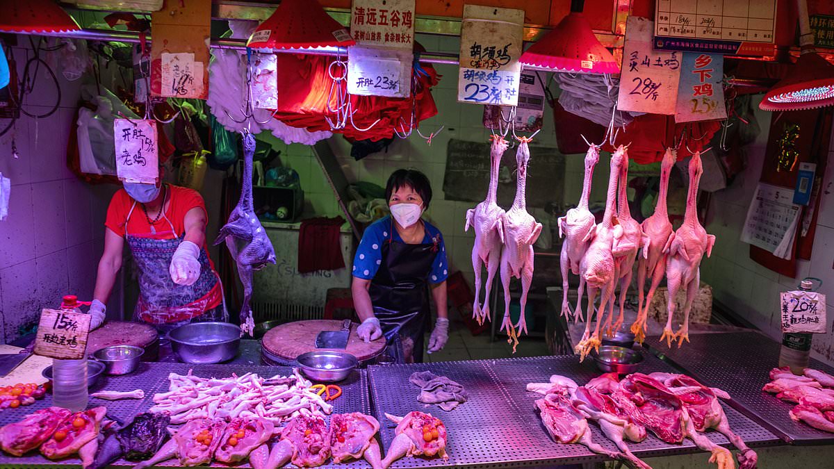 Don't visit wet markets this Lunar New Year, WHO tells travellers in Asia amid escalating bird flu pandemic fears