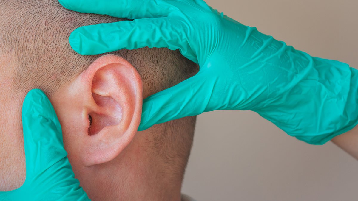 Ear 'tickling' clips that zap your nerve could help you lose weight... and may be the answer to more than a quarter of English people being obese