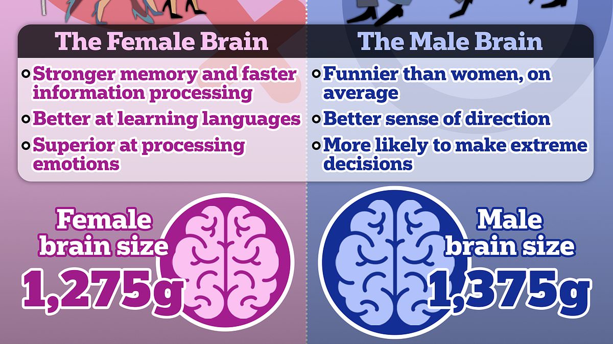 From sense of direction to rationality, the subtle differences between men and women's brains that you had NO idea about - after a fascinating study proved the sexes are 'wired differently'