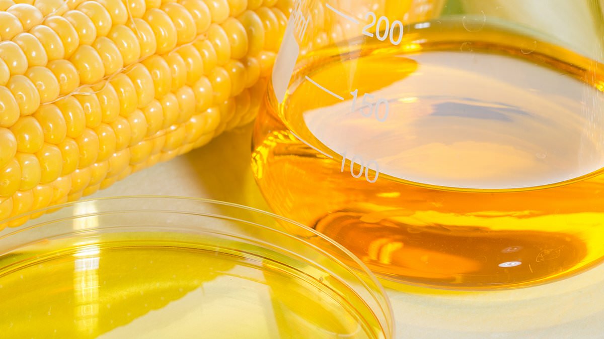 High fructose corn syrup is just as healthy as honey, says social media's favorite doctor, dispelling common myth