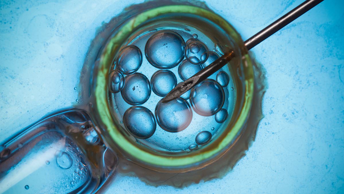 My dream of motherhood has been snatched away from me: Agony of woman in her 40s whose embryos may have been destroyed by 'fault' in freezing process at top NHS fertility clinic