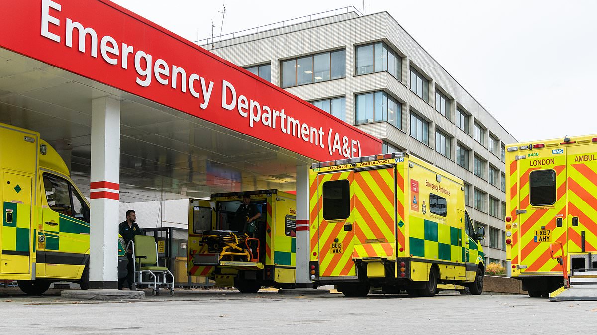 NHS crisis saw more than 1.5million A&E patients have to wait at least 12 hours to be treated last year