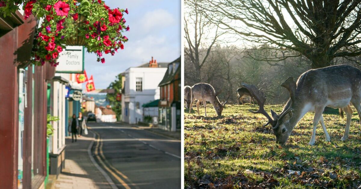 The pretty UK town just outside London named one of the best and healthiest places to live