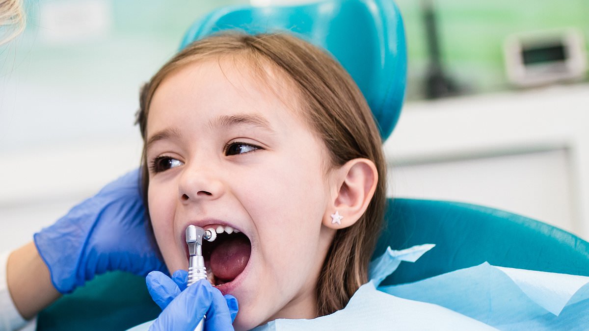 There's an easy fix to end nightmare queues for the dentist, so why are dentists themselves opposed to it?