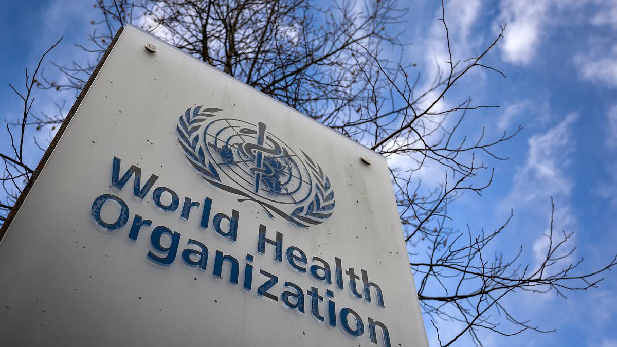UN trans health panel accused of CRONYISM: 80% of WHO's 'experts' flagged for conflicts of interest - eyeing profits from hormones and sex-change ops they're pushing as global standards