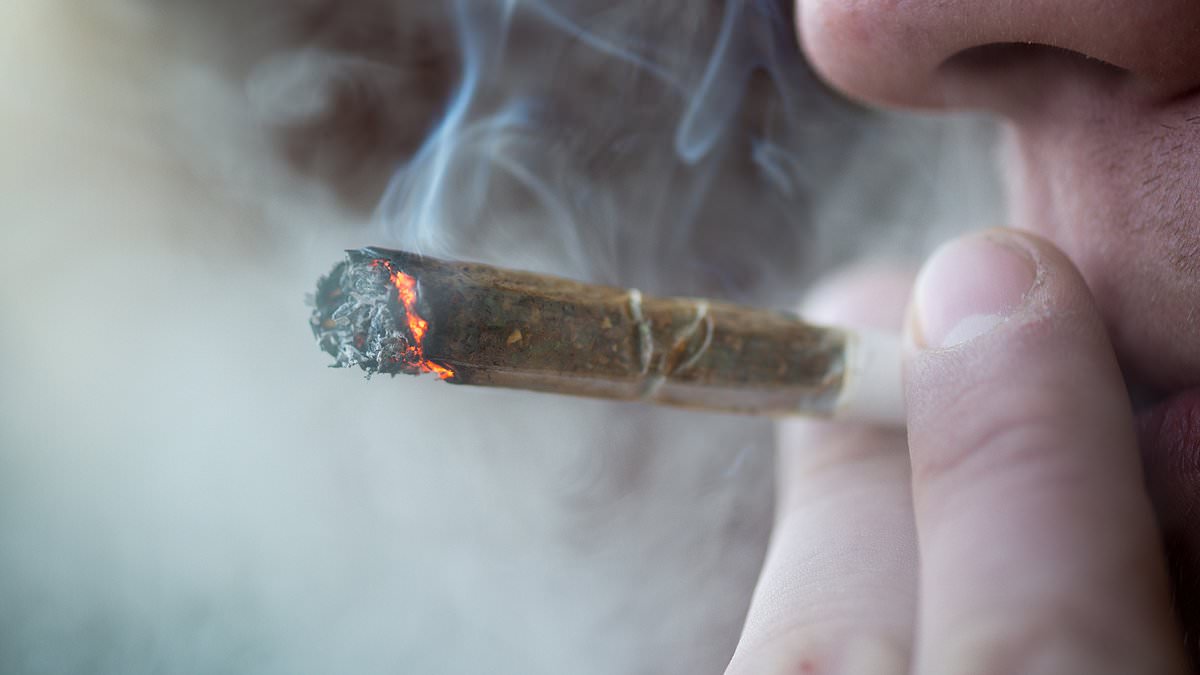 Using marijuana in ANY form is linked to a 42% increased risk of a stroke - and 25% higher chance of a heart attack, study warns