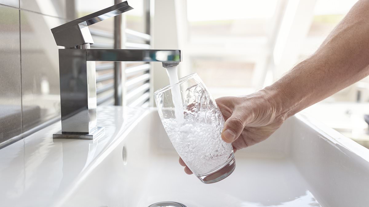 What's REALLY in your tap water? With millions more Britons about to get fluoride funnelled into their drinking supplies, the ultimate interactive guide on the bugs, chemicals and plastics lurking within your glass...