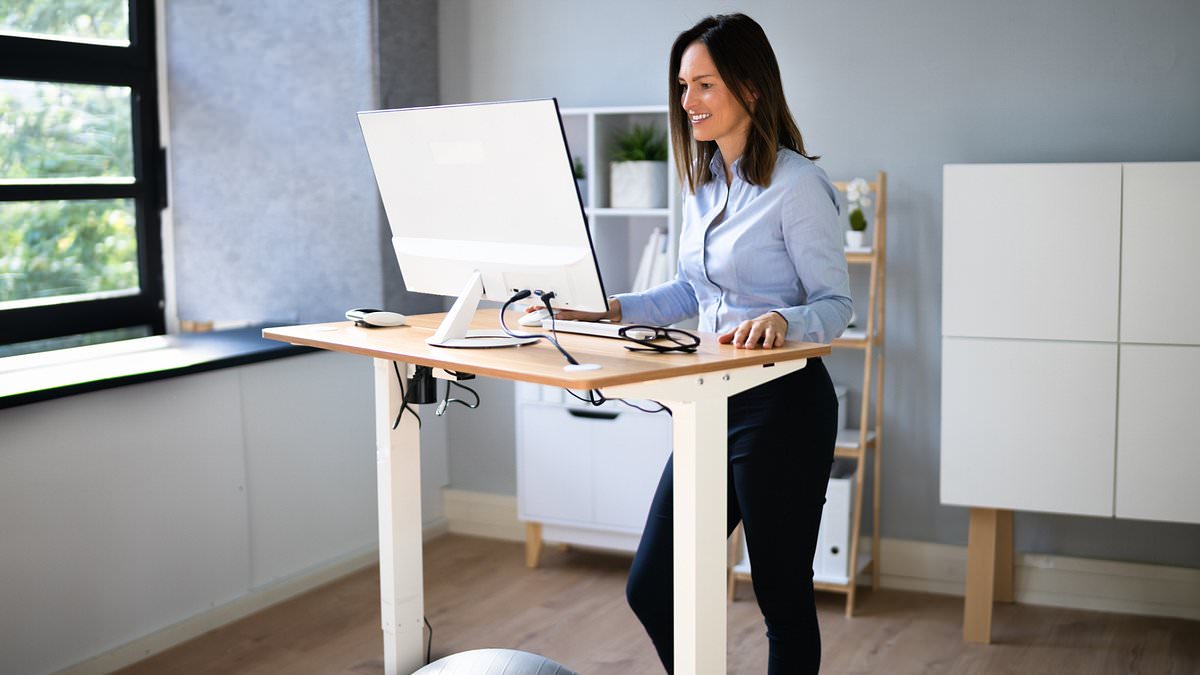 Why trendy standing desks are a waste of time: Top expert claims our spines 'won't be damaged by a bit of sitting down'